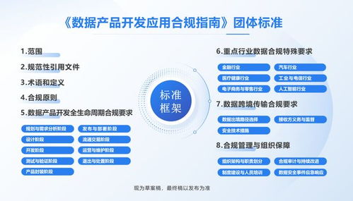 全國(guó)首部數(shù)據(jù)產(chǎn)品開發(fā)應(yīng)用合規(guī)標(biāo)準(zhǔn)即將出臺(tái)，信息技術(shù)咨詢服務(wù)助力企業(yè)合規(guī)轉(zhuǎn)型